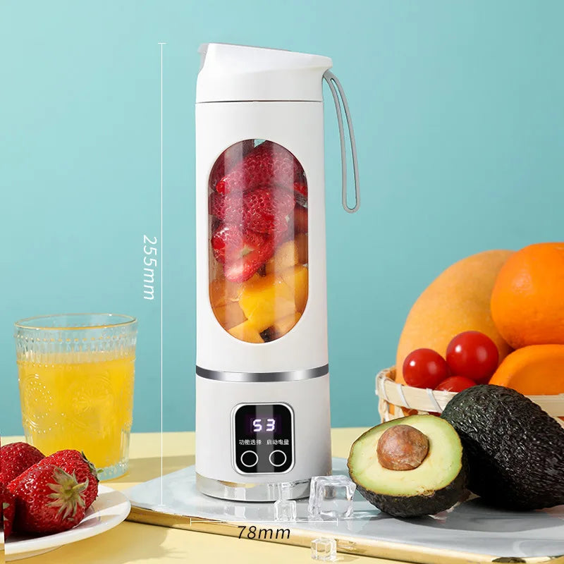 BlendGo 500ml Portable Blender